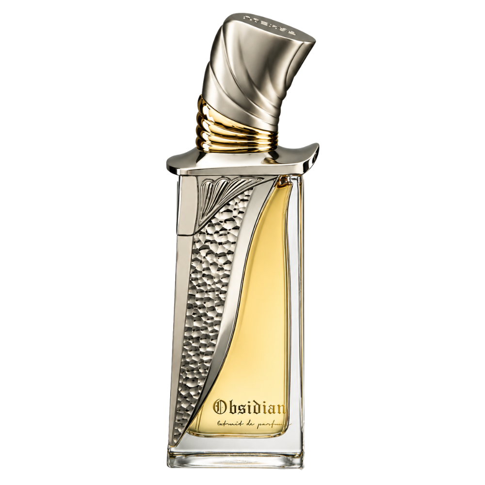 Obsidian Eau de Parfum 100ml by French Avenue